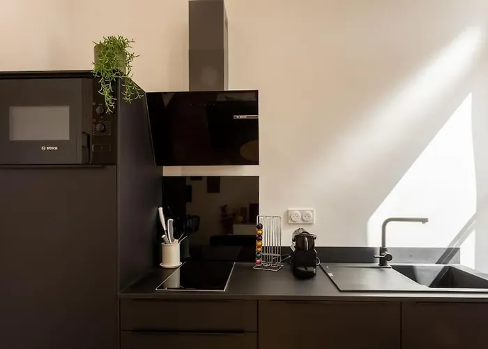 Le Prestigieux - Hypercentre Apartment