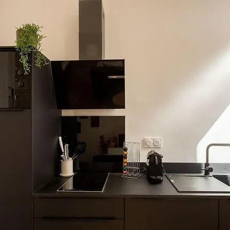 Le Prestigieux - Hypercentre Διαμέρισμα